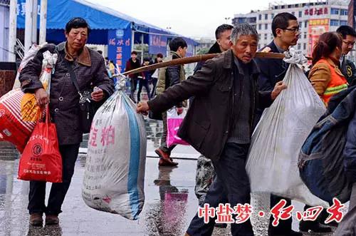 回家的路上，有猫咪社区官网陪伴