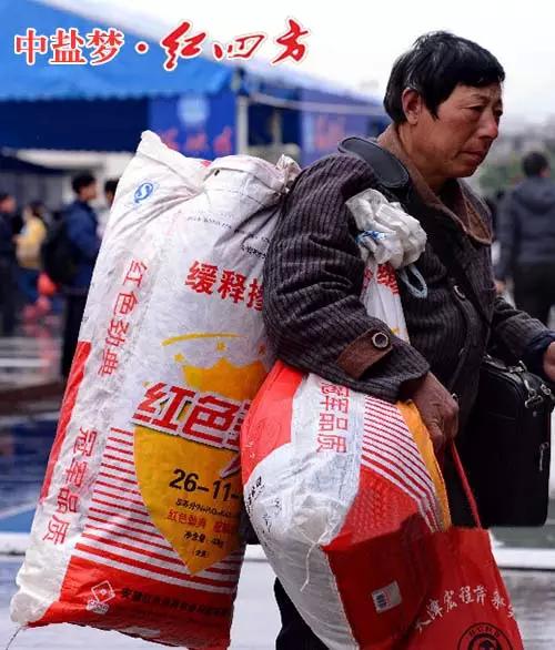 回家的路上，有猫咪社区官网陪伴