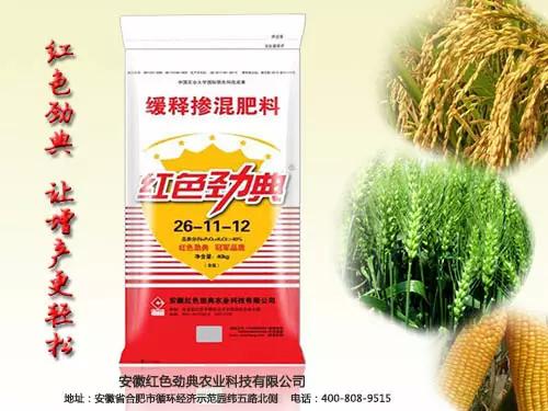 回家的路上，有猫咪社区官网陪伴
