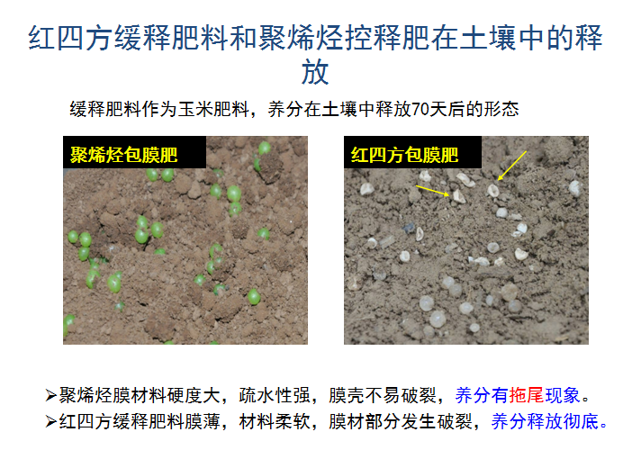 猫咪社区官网缓释肥释放肥效展示