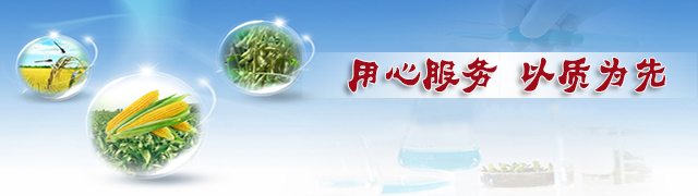 猫咪社区官网猫咪成人APP官网，用心服务，以质为先