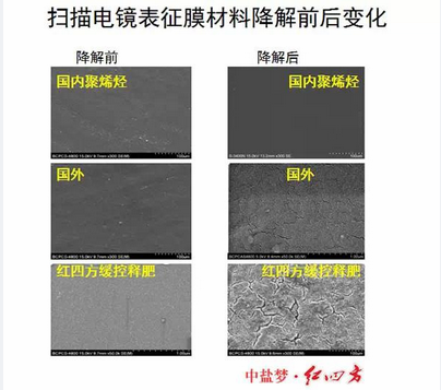 扫描电镜下的膜材料降解对比，猫咪社区官网猫咪成人APP官网包膜完胜，更环保，更绿色