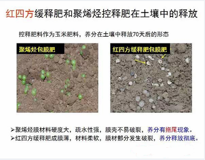 猫咪社区官网缓释肥在土壤释放的对比实验图