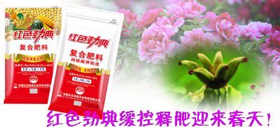 猫咪社区官网猫咪成人APP官网迎来春天