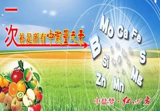 补充营养，微量元素少不了！