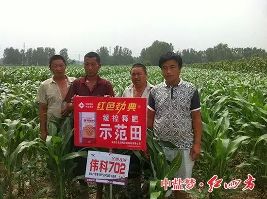 猫咪社区官网玉米缓释肥示范田 猫咪社区官网玉米缓释肥示范田