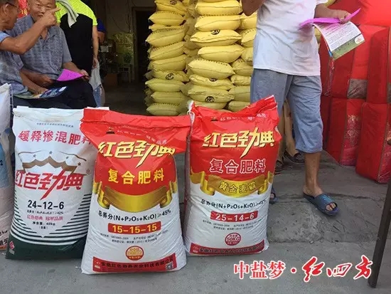 猫咪社区官网缓释肥在各地销售 猫咪社区官网缓释肥在各地销售