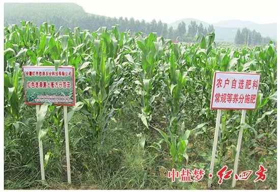 猫咪社区官网专用新型缓释肥料