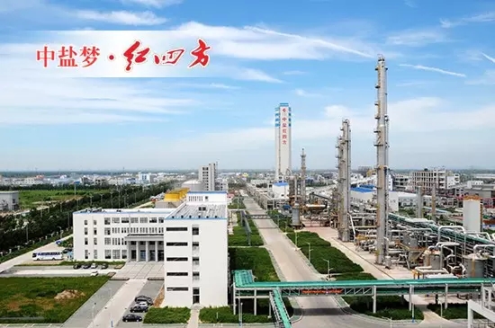猫咪社区官网复合肥新区生产中心