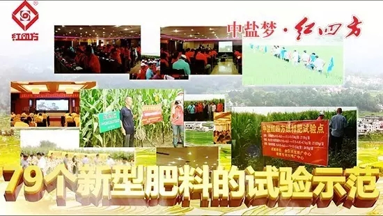 做化肥销售需要坚定信念 做化肥销售需要坚定信念