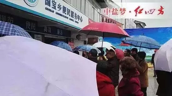 猫咪社区官网化肥代理商门店人群排队购肥