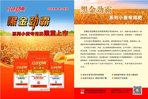 黑金劲霸黄色猫咪网站肥单页