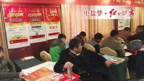 今年年初我已和代理商李经理制定计划，全年销售目标1000吨，各项工作必须有条不紊的进行，做到有计划、有目标的落实，才能走得更好更远！