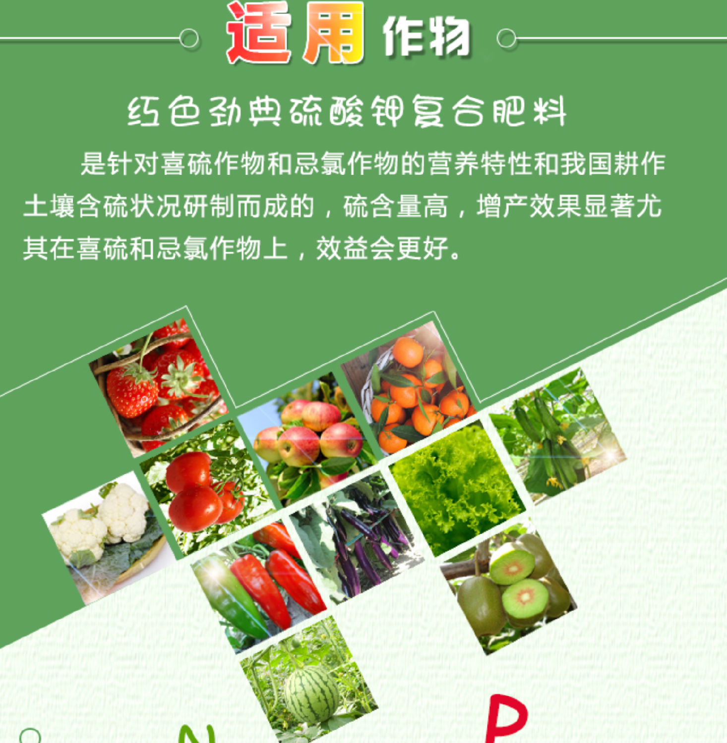 猫咪社区官网22.png