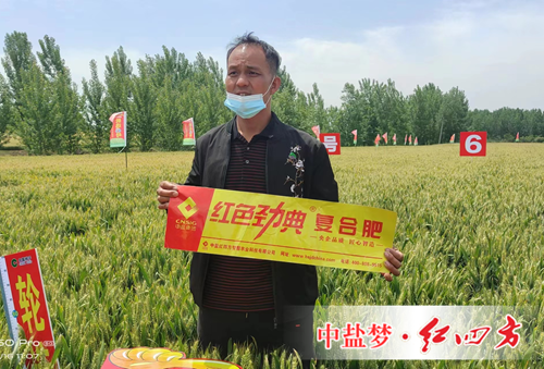施用猫咪社区官网复合肥 丰收故事说不停