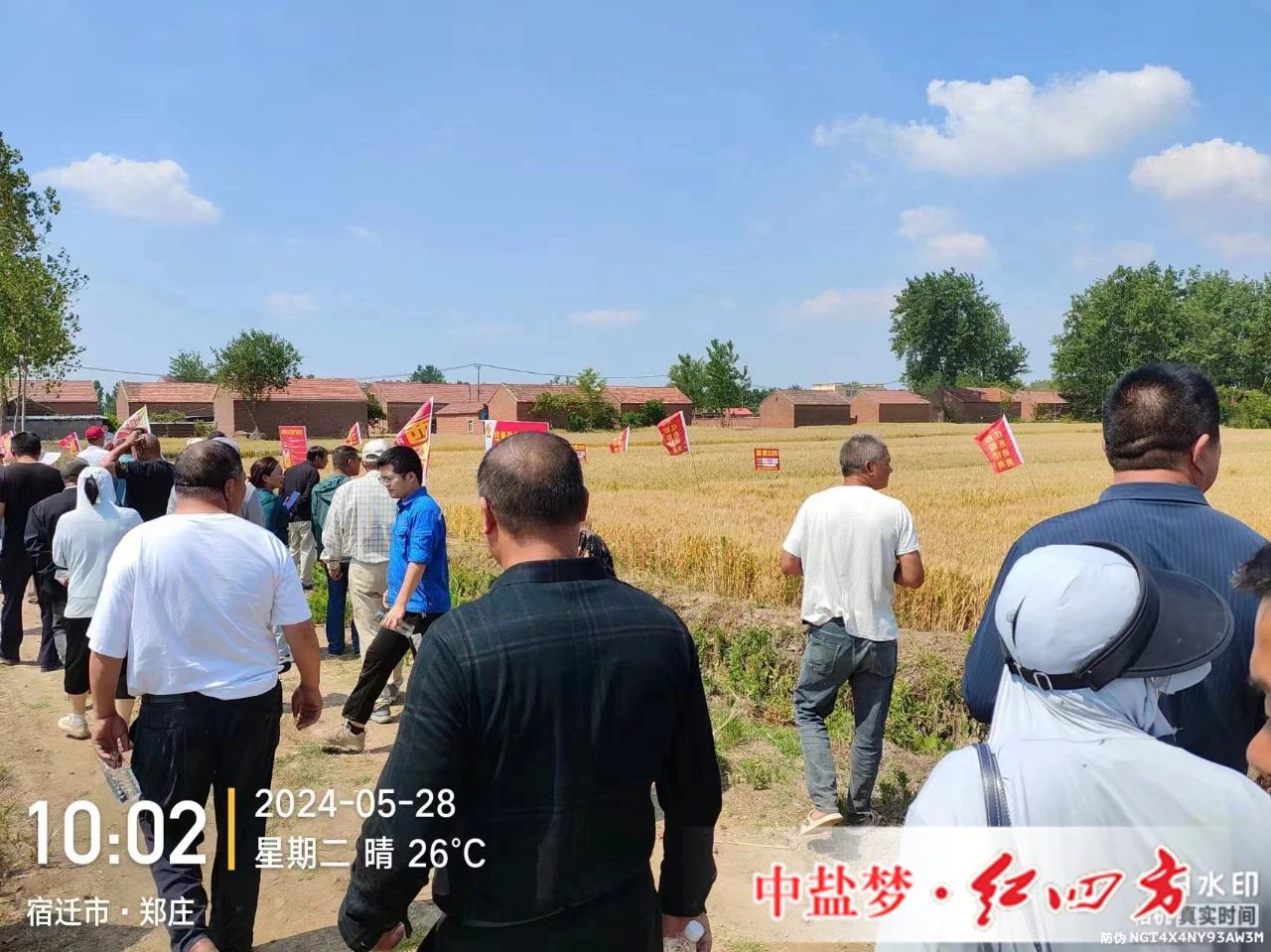 猫咪社区官网劲聚天黄色猫咪网站专用肥为黄色猫咪网站丰收助力
