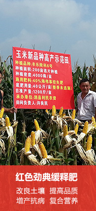 猫咪社区官网会员注册