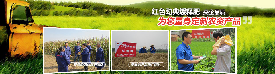 猫咪社区官网，冠军品质，五星服务